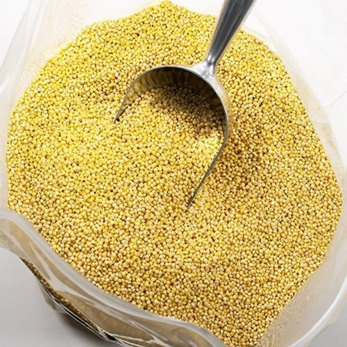 Raw Yellow Millet