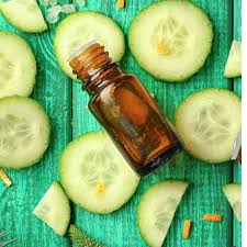 Cucumber Essential Oil