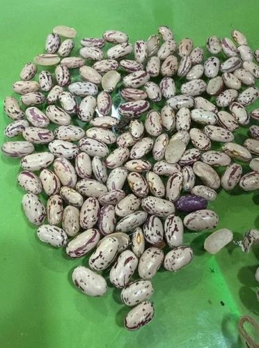 Phule Rajma, Packaging Size: 30 kg