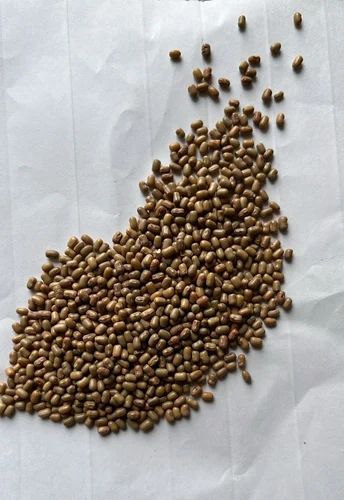 Brown Moth Sabut Seed