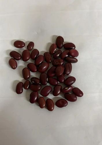 Maroon Jammu Rajma Seed, Packaging Size: 30 Kg