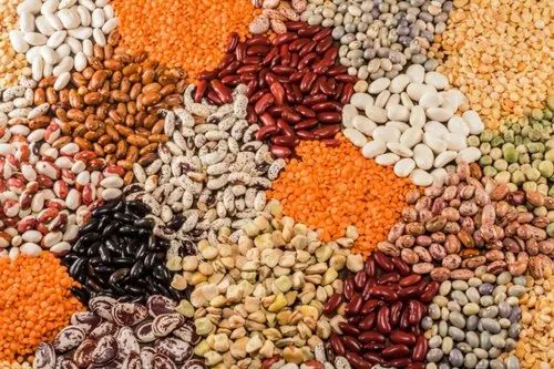 Organic Pulses, Packaging Size: 500 g