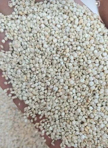 White Bold Quinoa