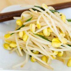 Soybean Sprouts
