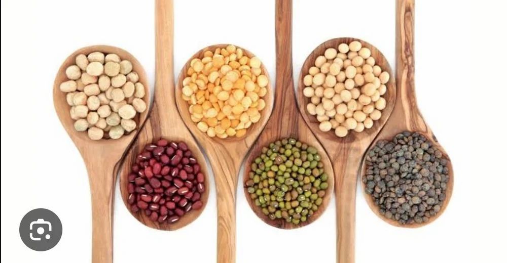 Soybean Sprouts