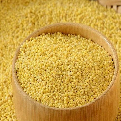 Foxtail Millet Seed (50 kg PP Bag)