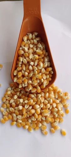Yellow Butterfly Popcorn Maize Kernel (35-40 Expansion Ratio)