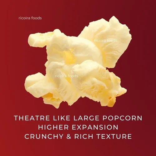 Mushroom Popcorn Kernel, High in Protein