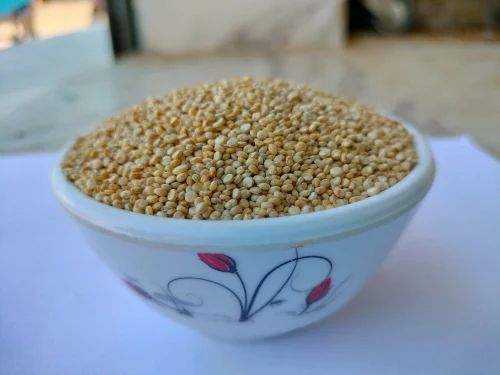 Raw Quinoa Seeds