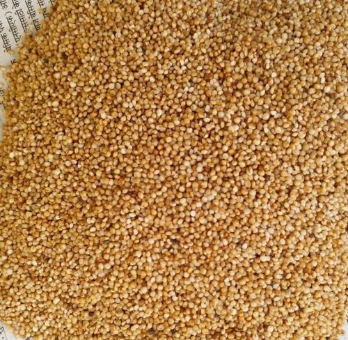 Brown Unpolished Kodo Millet