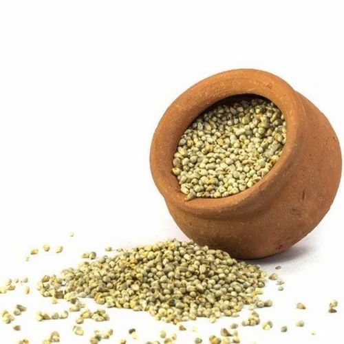 Loose Whole Kumbhu Millet Seed