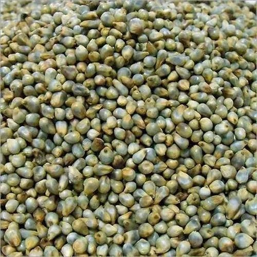 Green Pearl Millet, High in Protein, 30 kg