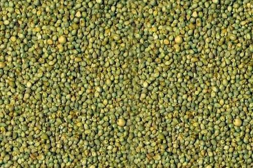 Green Millet, Organic
