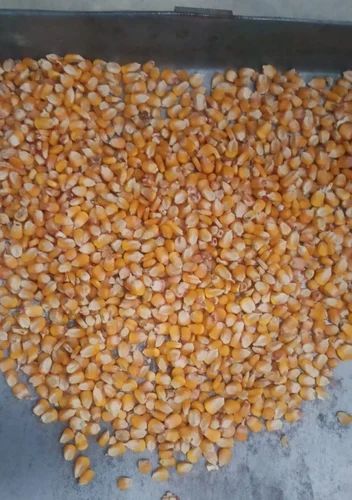 Yellow A Grade Raw Maize