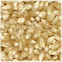 White Maize