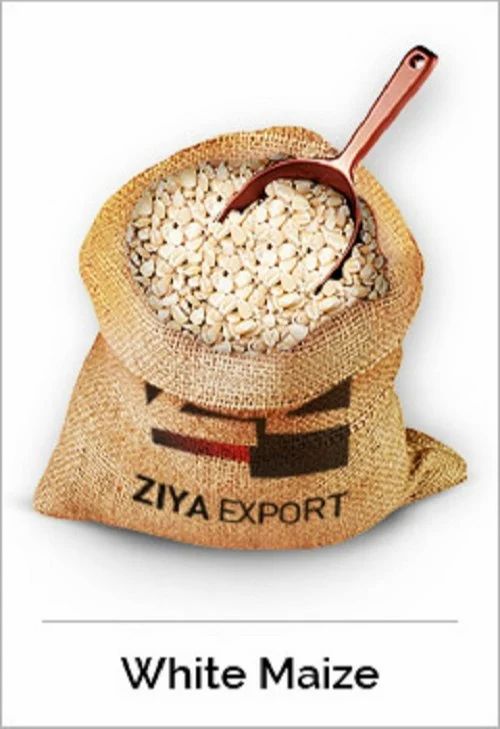 Kernels White Maize