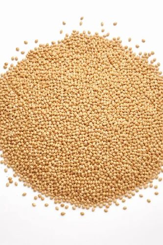 Yellow Millet Seed, For Bird Feed