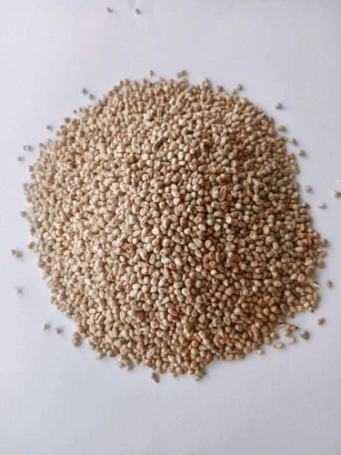 Natural Dried Yellow Bajra Seed, Packaging Size: Loose, Whole Grain