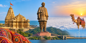 B2B Suppliers in Gujarat